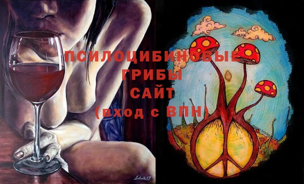 метадон Алексин