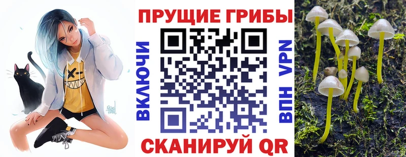 Галлюциногенные грибы ЛСД Щёлкино