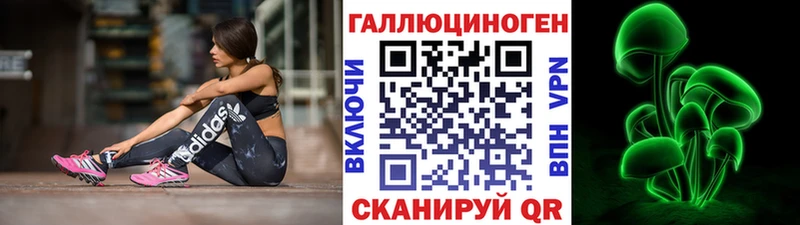 дарнет шоп  Щёлкино  Псилоцибиновые грибы Cubensis 